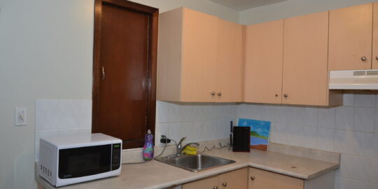 MicrosoftTeams-image (14)